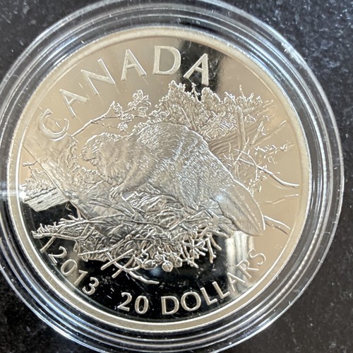 Dollar kanada 2013 biber - 20, pp